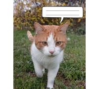 Quaderno a righe - Notebook per appunti - Idea regalo - Gatto rosso: Red cat notebook for study and work 80 p