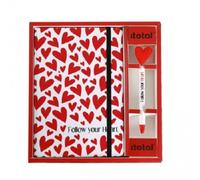 QUADERNO A5 + PENNA FOLLOW YOUR HEART