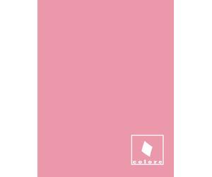 Quaderno Arabo "colore": rosa. Rigatura specifica per seguire corsi di lingua araba
