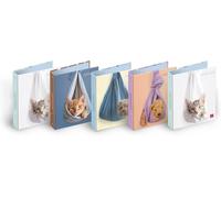 ,Quaderno Con Anelli F.To A4 DOLCI CUCCIOLI, Soggetti Assortiti,Quaderno Ad Anel