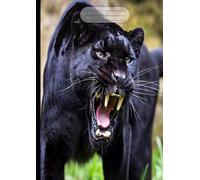 Quaderno Copertina Pantera Nera: Quadretti 5 mm senza margine, Formato grande a4, 100 pagine, Per scuola media e superiore, Tema animale