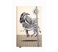 Quaderno copertina rigida, pagine a righe Coraggio e Fantasia - 13 x 21 cm