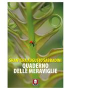 Quaderno delle meraviglie - 2025 - Lindau (Senza frontiere)