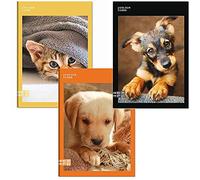 Quaderno maxi 5 pz SEVEN COLOUR CODE ANIMALI quadretto 10 mm MAX QTY + 30% fogli