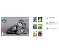 Quaderno Maxi A4 Sweet 80Gr Righe 3A Elementare B 1Pz