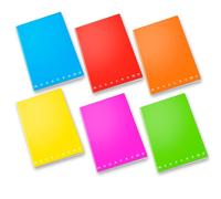 Pigna Confezione 10 Quaderni Monocromo Fluo A4 80g 4m 02267924m