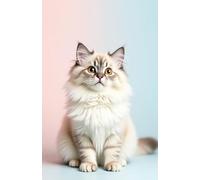 Quaderno pagine bianche: gatto bellissimo