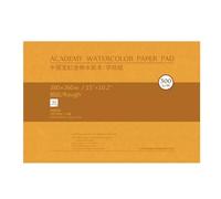 Quaderno Per Schizzi Acquerello Dal Design Professionale Senza Acidi 20 Fogli Tampone Carta in Cotone Da 300 G Multiuso Per Pittura Carta Per Acquerello Assorbenza