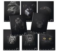 Pigna Maxi Quaderno Monocromo Black 02303371R - Rigatura 1R - Confezione 10 quaderni ass.