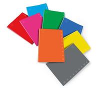 Quaderno scolastico A5 a righe 8 mm PIGNA Monocromo