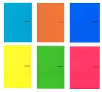 Quaderno spiralato maxi A4 in PPL Libraccio. Quadretti piccoli 4 mm