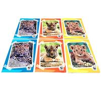 QUADERNONE QUADERNO WWF foca tartaruga leone tigre panda orso 6 pezzi SCUOLA a RIGHE 1R + omaggio penna glitterata + segnalibro