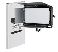 Quadralite Thea 600 Pro Alette Frangiflusso