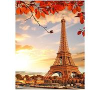 Quadrato Diamond Painting 40x50 cm Mosaico Fai Da Te Pietre kit di Pittura con Diamanti Dipingere con i Numeri Puzzle Strass Adesivi Diamond Painting Paesaggi Torre Eiffel Parigi Tramonto