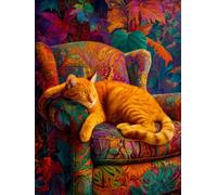 Quadrato Diamond Painting Kit Completo, Square Diamantini gatto divano Crystal Art, 5D DIY Bambini Adulti Pittura, da Ricamo Punto Croce Strass Artigianato Murale Decorazione Casa 50x70cm G-725