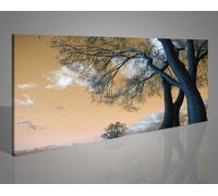 Quadri con alberi e paesaggi naturali stampe su tela canvas 1589