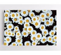 Quadri da parete fiore camomilla fiori selvatici naturale quadro su tela tess...