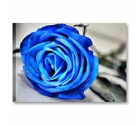 Quadri L&C ITALIA Rosa Blu - Quadro Moderno con Fiori 70 x 50 Stampa su Tela Canvas da Parete Bianco Nero per Soggiorno Salotto Camera da Letto Bagno
