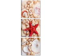 Quadri L&C ITALIA Tris Conchiglie Sabbia 1 - Quadretti per Bagno Cucina Camera da Letto con Mare 25 x 25 Tris di Quadri Moderni da Parete Stampe su Tela Canvas