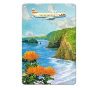 Quadri Metallo Oltre La Valle Di Pololu, Big Island, Hawaii, Hawaiani, Colori Hawaiani Divertent Cartello In Alluminio Resistente Uv Pittura In Ferro Per Pub La Casa Club 20X30Cm