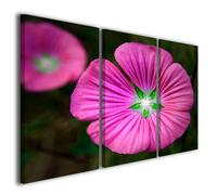 Quadri moderni fiori colorati Fulcrum green stampe su tela canvas