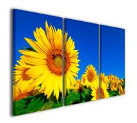 Quadri moderni fiori girasole Sunflower stampe su tela canvas