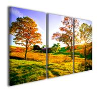 Quadri moderni Golden rays paesaggio tramonto stampe su tela canvas