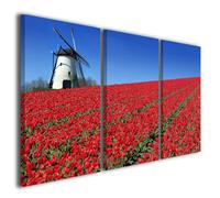 Quadri moderni Olanda Amsterdam tulipani stampe su tela canvas fiori rossi