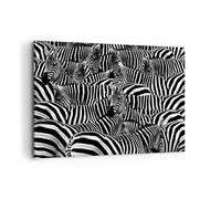 Quadri Moderni Soggiorno Animali zebra strisce Quadro su Tela 120x80cm Stampe da Parete Camera da Letto Cucina 1 pezzo Wall Art Canvas Grandi XXL Decorazione Murale Grafica Immagini AA120x80-0340