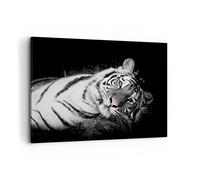 Quadri Moderni Soggiorno Bianco tigre bianco e nero Quadro su Tela 120x80cm Stampe da Parete Camera da Letto Cucina 1 pezzo Wall Art Canvas Grandi XXL Decorazione Murale Grafica Immagini AA120x80-4247