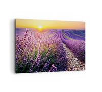 Quadri Moderni Soggiorno Campo Lavanda Sole Quadro su Tela 120x80cm Stampe da Parete Camera da Letto Cucina 1 pezzo Wall Art Canvas Grandi XXL Decorazione Murale Grafica Immagini AA120x80-4703