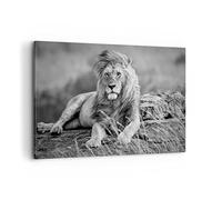 Quadri Moderni Soggiorno leone animale natura Quadro su Tela 120x80cm Stampe da Parete Camera da Letto Cucina 1 pezzo Wall Art Canvas Grandi XXL Decorazione Murale Grafica Immagini AA120x80-3931