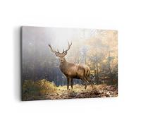 Quadro su Tela 120x80cm Luce cervo foresta Stampe Immagini Quadri Moderni Murale