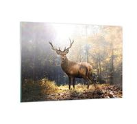 Quadro su Vetro 120x80cm Luce cervo foresta Stampe Immagini Moderni Murale