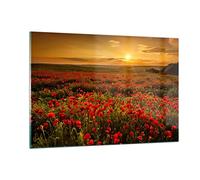 Quadri Moderni Soggiorno papavero fiore prato Quadro su Vetro 120x80cm Stampe da Parete in Vetro Camera da Letto Cucina 1 pezzo Wall Art Grandi XXL Decorazione Murale Grafica Immagini GAA120x80-3643