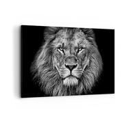 Quadri Moderni Soggiorno Ritratto Leone Bianco E Nero Quadro su Tela 120x80cm Stampe da Parete Camera da Letto Cucina 1 pezzo Wall Art Canvas Grandi Decorazione Murale Grafica Immagini AA120x80-4494