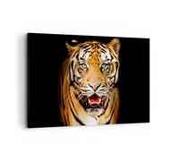 Quadri Moderni Soggiorno tigre animale Quadro su Tela 120x80cm Stampe da Parete Camera da Letto Cucina 1 pezzo Wall Art Canvas Grandi XXL Decorazione Murale Grafica Immagini AA120x80-4103