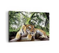 Quadri Moderni Soggiorno Tigre giungla riposo Quadro su Tela 120x80cm Stampe da Parete Camera da Letto Cucina 1 pezzo Wall Art Canvas Grandi XXL Decorazione Murale Grafica Immagini AA120x80-4166