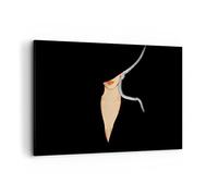 Quadri Moderni su Tela 120x80 cm Stampe da Parete Persone Moda - 4341 | Donna Cappello Nero Quadro Decorativo XXL 1 pezzo Soggiorno Camera da Letto Arte da Parete Decorazione da Parete ARTTOR