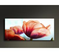 Quadri Moderni Tulipani - Stampa su Tela Pittura Acquarello - Arte della Parete