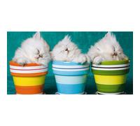 Quadro 3 GATTINI G1590 PINTDECOR
