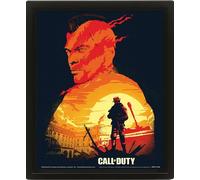 Quadro 3D Call of Duty: Sunset