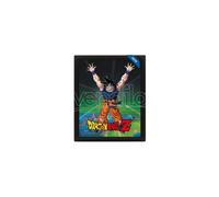 QUADRO 3D DRAGON BALL POWER LEVELS - GADGET