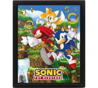 Quadro 3D Sonic con Effetto Lenticolare