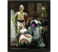 Quadro 3D STAR WARS: Droids