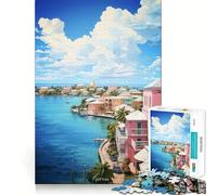 Quadro a olio NASSAU, puzzle da 1000 pezzi per adulti, gioco di concentrazione e divertimento, bordi netti, ideale come regalo di Babbo Natale (50x75cm)