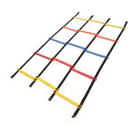 Quadro Agility per Allenamento e Attività Motorie Triple Ladder