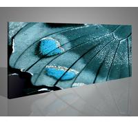 Quadro azzurro con ali di una farfalla particolare del dettaglio 1593