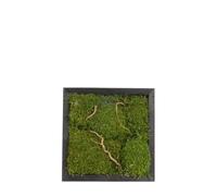 Quadro Bosco con Muschio Stabilizzato 30x30 cm - Made in Italy - Quadretto da Parete con Cornice Nera Per Decorazioni in Soggiorno - Muschio e Rami di Salice - con Gancetto (Moderno, Nero, 30x30)