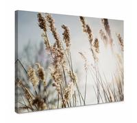 Quadro su tela Herbe de la Pampa - Stampa d'arte blu beige - formato 70x50 cm - Arredo murale per il soggiorno - Quadro su telaio
